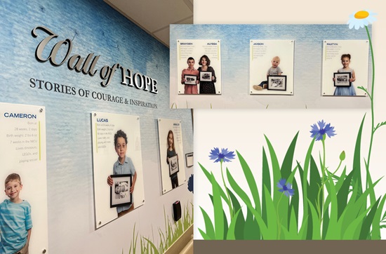 Images from the wall of hope